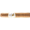 Casa de Garcia Conneticut Robusto Bundle 10 Stück