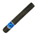 Guzman Patron Maduro