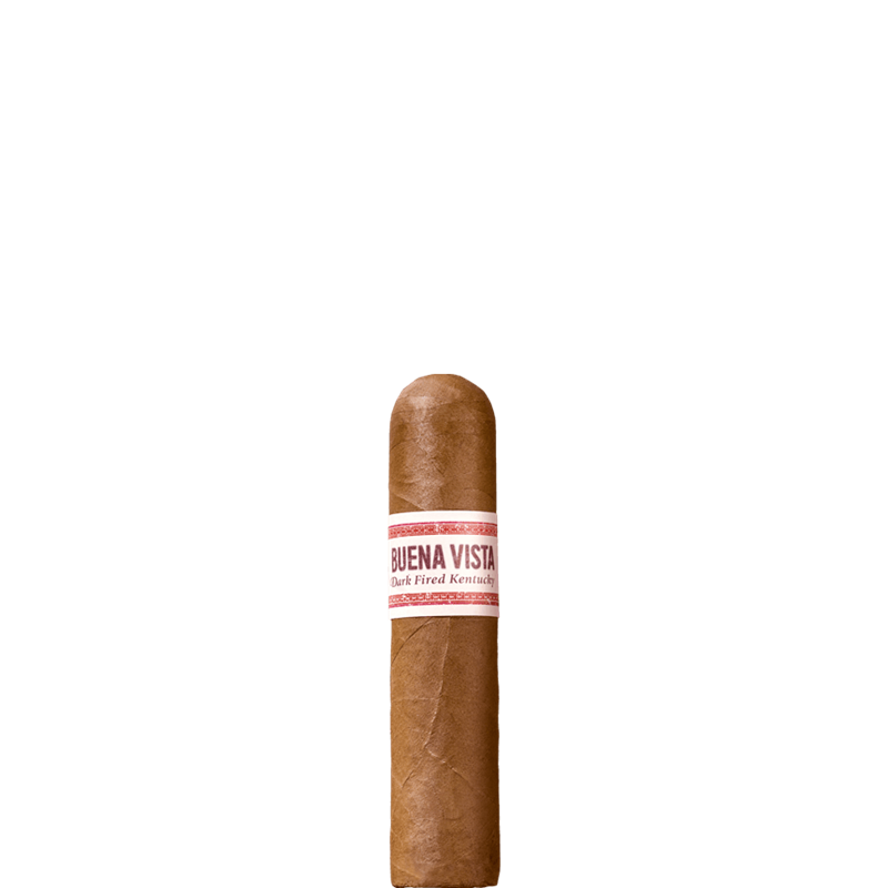 Buena Vista Dark Fired Kentucky Short Robusto 5 Stk. (Pack)