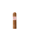 Buena Vista Dark Fired Kentucky Short Robusto 5 Stk. (Pack)