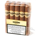 DOMINICO Robusto Bundle (10 Stk.)