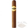 DOMINICO Robusto Bundle (10 Stk.)