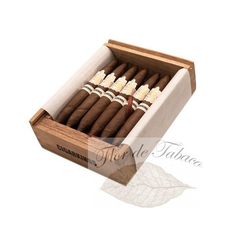 CigarKings Maduro Elegantes 12 Stück (Kiste)