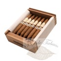 CigarKings Sun Grown Elegantes 12 Stück (Kiste)