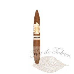 CigarKings Sun Grown Elegantes 12 Stück (Kiste)