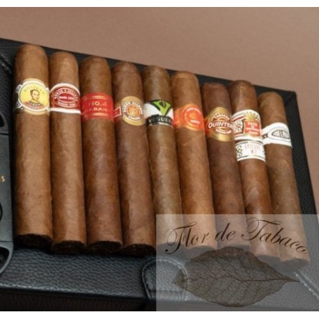Kuba Robusto Sampler (9 Stück)