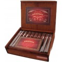 Kristoff Sumatra Robusto 20 Stück