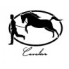 Cavalier Premiun Cigars LLC