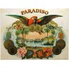 Paradiso by Ashton